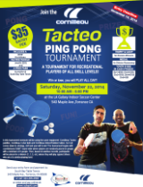 Tacteo Flyer