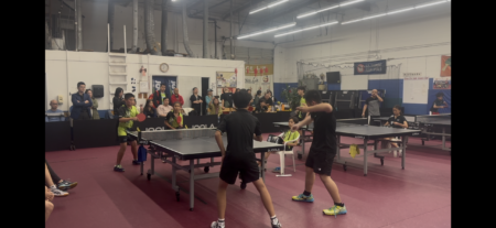 Julian Lee and Kori Lee vs. Brandon Shu and Frank Wu