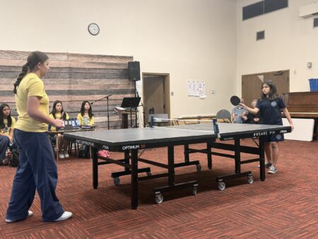 Alessandra vs. Allison