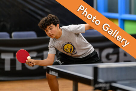 LA Ping Pong Spring 2026 League Championship Photo Gallery